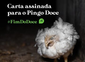 carta_assinada_pingo_doce